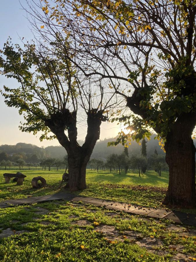 Agriturismo San Michele Βιτσέντζα Εξωτερικό φωτογραφία