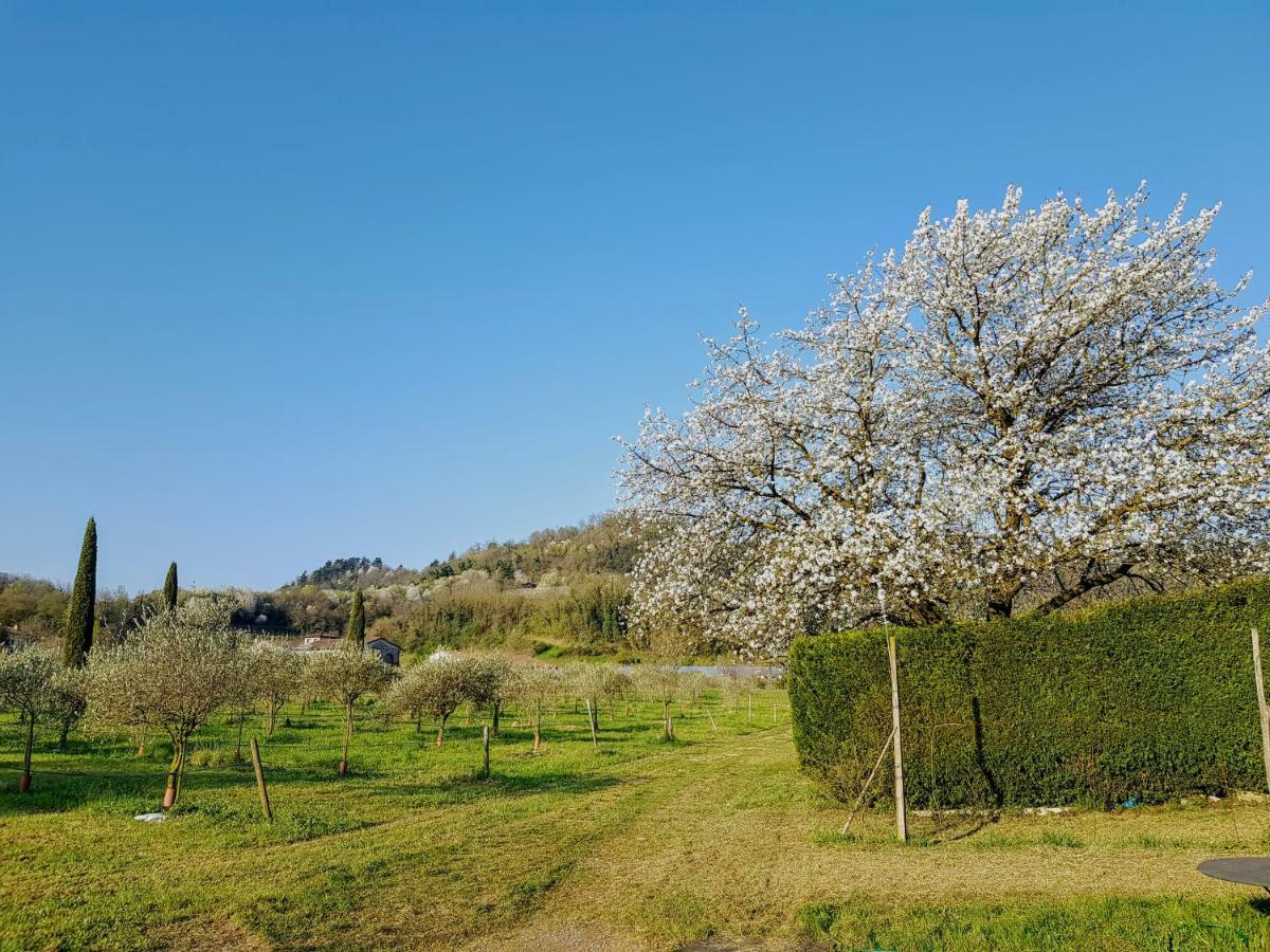 Agriturismo San Michele Βιτσέντζα Εξωτερικό φωτογραφία